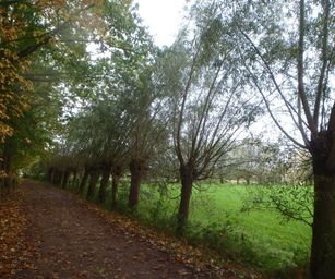 29-10-2023 - Wetteren (7)
