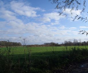 Wetteren - 31-10-2020 (8)