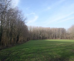Bottelare 20-02-2021 (26)