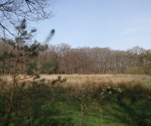 12-04-2022 - Sint-Joris (11)