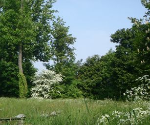21-05-2023 - Houdeng-Goegnies (5)