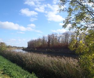 Wetteren - 31-10-2020 (20)