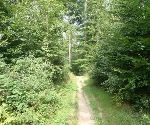 Sint-Pieters-Woluwe  - 19-09-2021 (25)
