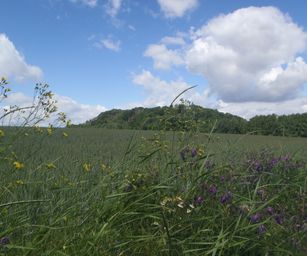 06-06-2022 Binche (4)