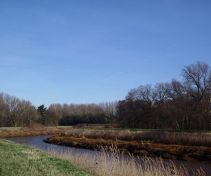 12-02-2022 - Lier (3)