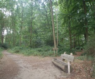28-07-2022 Brugge 2 (5)