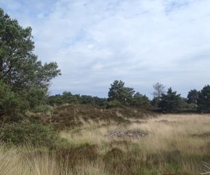 04-06-2022 Bergen-op-zoom (7)