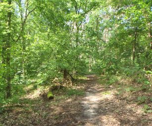 Haacht - 06-06-2021 (19)