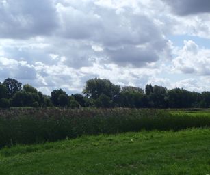26-08-2023 - Sint-Truiden (11)