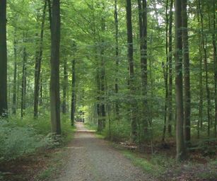Sint-Pieters-Woluwe  - 19-09-2021 (14)
