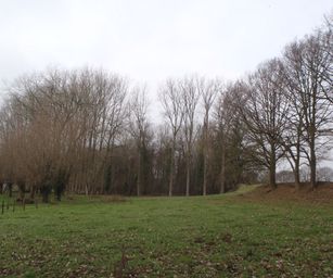 04-02-2023 - Borsbeke (13)