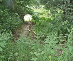 Schelle - 29-08-2021 (32)