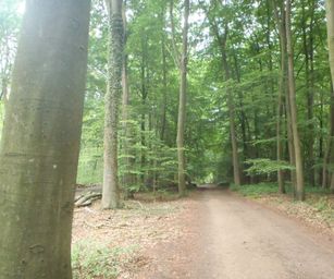 Oud Heverlee - 27-06-2021 (15)