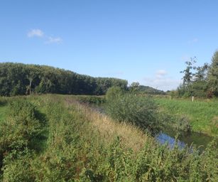 Diest  - 05-09-2020 (8)