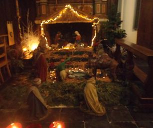 Brugge - 24-01-2021 (5)