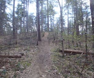 Kasterlee - 17-04-2021 (24)