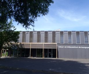 Te gek - 01-06-2020 (11)