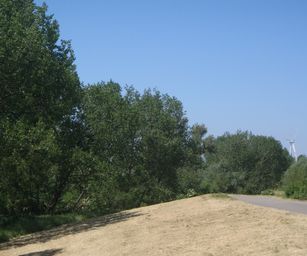 Heindonk - 13-06-2021 (33)