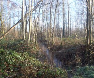 De Pinte - 09-01-2021 (7)