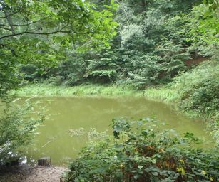 Blanden - 15-08-2020 (9)