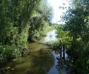 Te gek - 01-06-2020 (16)