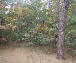 13-10-2022 Lommel (10)