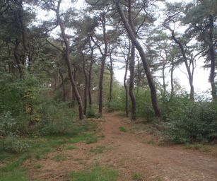 13-10-2022 Lommel (5)