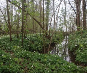 16-04-2023 - Winksele (14)