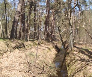 Kasterlee - 17-04-2021 (26)