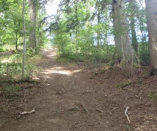 Haversin - 19-07-2020 (22)