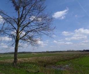 30-04-2023 - Herzele (21)