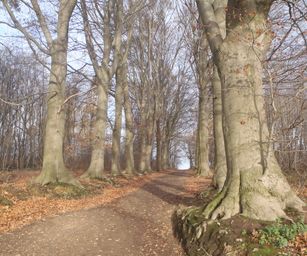 Pellenberg - 13-12-2020 (23)
