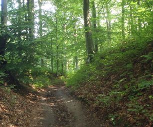 Blanden - 15-08-2020 (18)