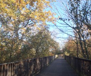 Gentbrugge - 28-11-2020 (34)