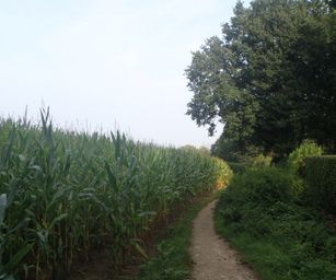 Sint-Pieters-Woluwe  - 19-09-2021 (5)
