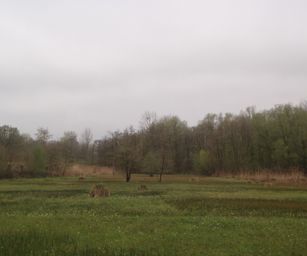 16-04-2023 - Winksele (19)