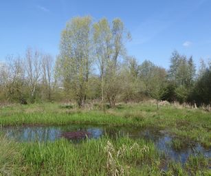 19-04-2023 - Wellen (2)
